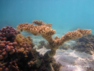 Turquoise Bay - Ningaloo - Australie