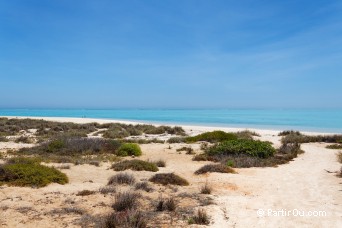 Sandy Bay - Ningaloo - Australie