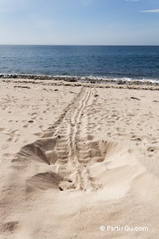 Jurabi Turtle Centre - Ningaloo - Australie