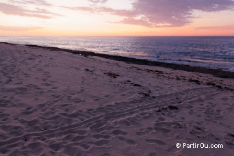 Jurabi Turtle Centre - Ningaloo - Australie