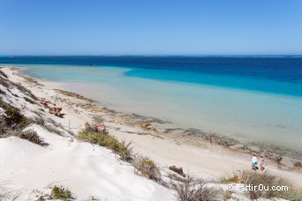 Coral Bay - Ningaloo - Australie