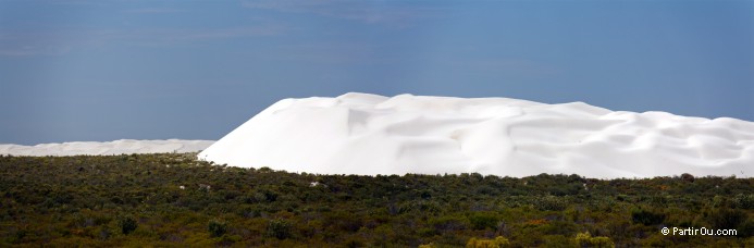 Dunes de sable blanc - Wanagarren Nature Reserve - Australie