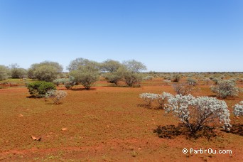 Golden Outback - Australie