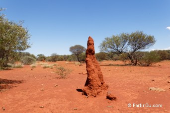 Termitire - Australie