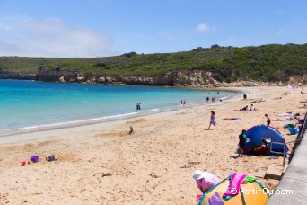 Port Campbell Beach - Great Ocean Road - Australie