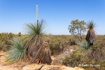 Parc national de Kalbarri - Australie