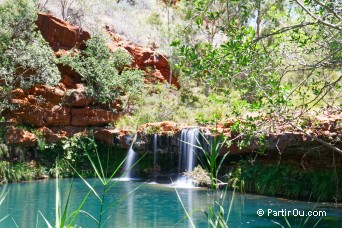 Fern Pool - Karijini - Australie