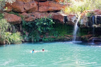 Fern Pool - Karijini - Australie