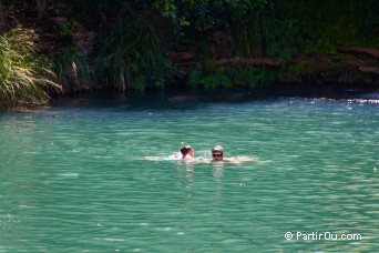 Fern Pool - Karijini - Australie