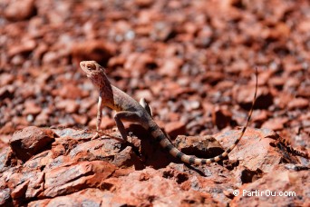 Knox Gorge - Karijini - Australie