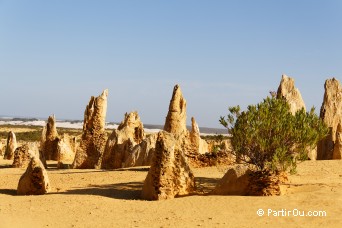 Parc national de Nambung - Australie