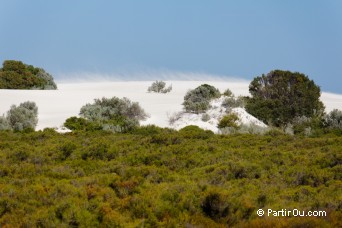Parc national de Nambung - Australie