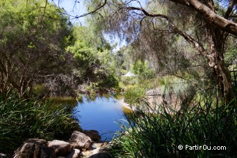 Kings Park and Botanic Garden - Perth - Australie