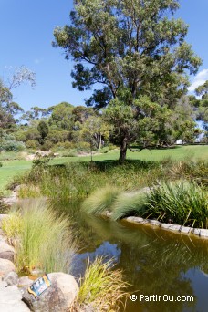 Kings Park and Botanic Garden - Perth - Australie