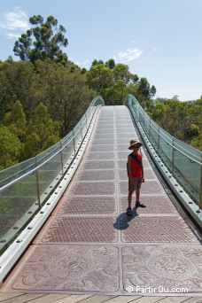 Tree Top Walk - Kings Park - Perth - Australie
