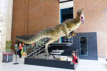Western Australian Museum Perth - Australie