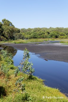 Yanchep National Park - Australie