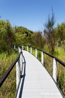 Yanchep National Park - Australie