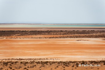 Shark Bay - Australie