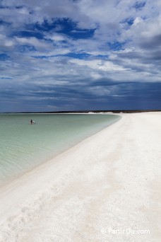 Shell Beach - Shark Bay - Australie