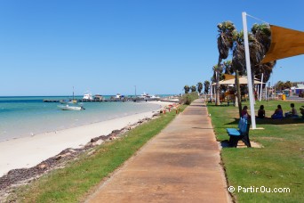 Denham - Shark Bay - Australie