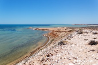 Eagle Bluff - Shark Bay - Australie