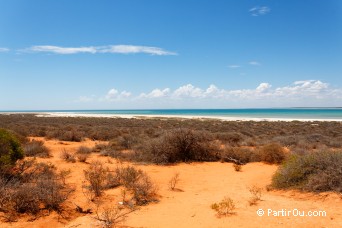 Shark Bay - Australie