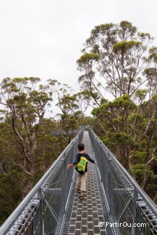 Valley of the Giants - Australie