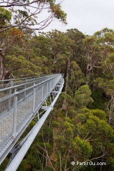 Valley of the Giants - Australie