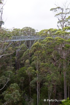 Valley of the Giants - Australie