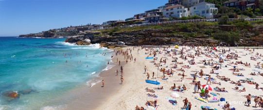 Tamarama Beach