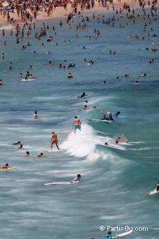 Bondi Beach