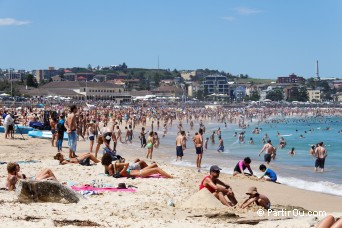 Bondi Beach