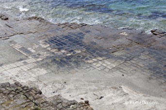 Tessellated Pavement - Pninsule de Tasman - Tasmanie