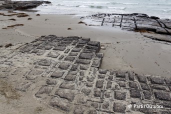 Tessellated Pavement - Pninsule de Tasman - Tasmanie