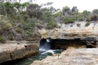 Tasman Blowhole - Pninsule de Tasman - Tasmanie