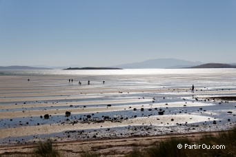 Dunalley Bay - Tasmanie