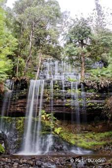 Chutes Russell - Parc national du Mont Field - Tasmanie