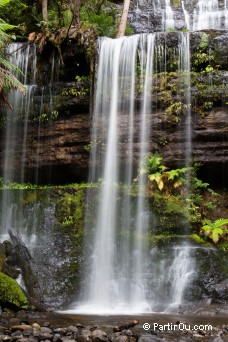 Chutes Russell - Parc national du Mont Field - Tasmanie