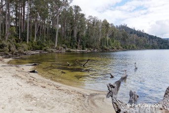 Lac St Clair - Tasmanie