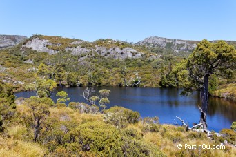 Wombat Pool - Valle Cradle - Tasmanie