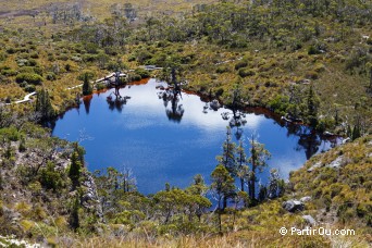 Wombat Pool - Vallée Cradle - Tasmanie