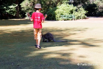 Cataract Gorge - Launceston - Tasmanie