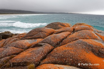 La Tasmanie - Australie