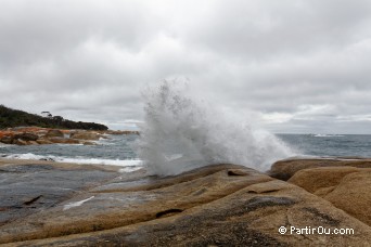 Bicheno Blowhole - Tasmanie