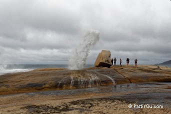 Bicheno Blowhole - Tasmanie