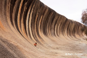 Golden Outback - Australie