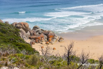 Wilsons Promontory - Australie