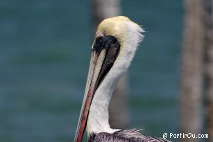 Caye Caulker - Belize