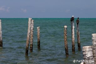 Vue depuis Caye Caulker - Belize